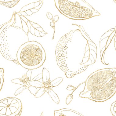 Doğrusal limonların, altın yaprakların ve çiçek açan çiçeklerin suluboya desenleri. Beyaz arka planda elle boyanmış taze meyveler. Tasarım, baskı, kumaş veya arkaplan için lezzetli besin çizimi.