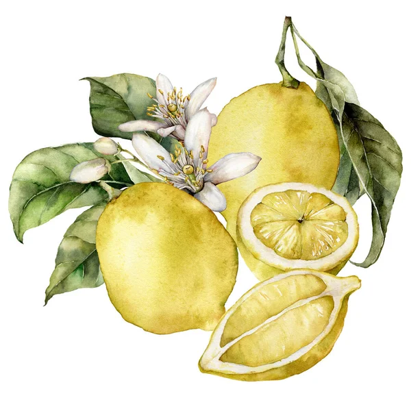 Akvarell tropiskt kort av mogna citroner och blommande blommor. Handmålade gren av färska frukter och blad isolerade på vit bakgrund. Smaklig mat illustration för design, tryck eller bakgrund. — Stockfoto