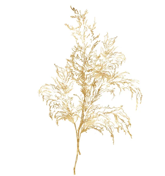 Tarjeta tropical lineal acuarela de hierba de pampas doradas. Ramo pintado a mano de planta exótica aislada sobre fondo blanco. Ilustración floral para diseño, impresión, tela o fondo. — Foto de Stock