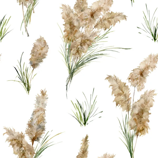 緑と乾燥したパンパス草の水彩熱帯シームレスパターン。白い背景に隔離されたエキゾチックな植物を手描き。デザイン、プリント、ファブリックまたは背景のための花のイラスト. — ストック写真