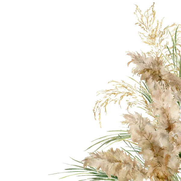 Watercolor square frame of gold and green pampas grass. Hand painted linear border of exotic dry plant isolated on white background. Floral illustration for design, print, fabric or background. — Stock Photo, Image