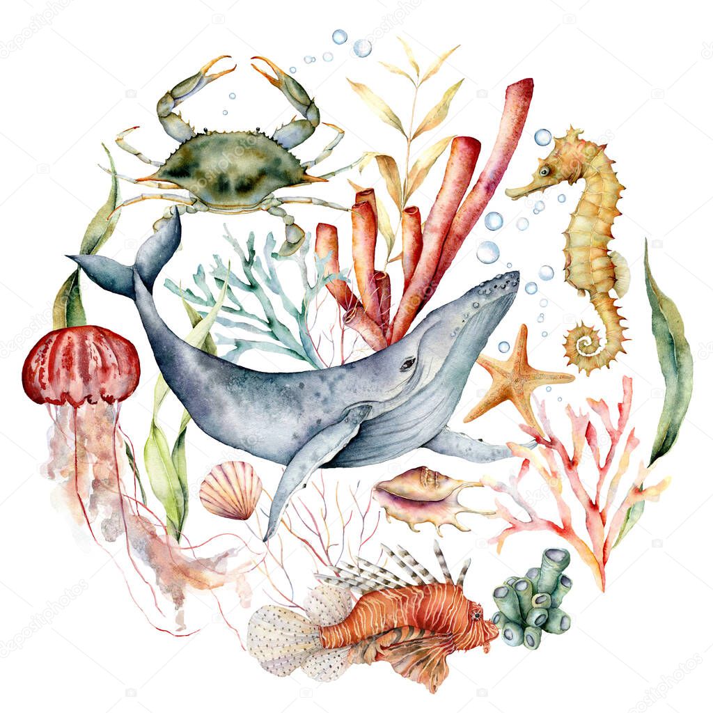Watercolor underwater life composition of coral reef plants, animals and shells. Hand painted tropical card isolated on white background. Aquatic illustration for design, print or background.