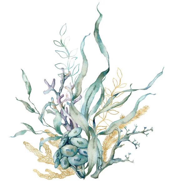 Υδατογραφία τροπική κάρτα γραμμική laminaria και χρυσά κοράλλια. Υποβρύχια σύνθεση φυτών και κοραλλιών που απομονώνονται σε λευκό φόντο. Υδατική απεικόνιση για σχεδιασμό, εκτύπωση ή φόντο. — Φωτογραφία Αρχείου