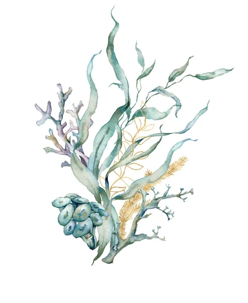 Carte tropicale aquarelle de laminaires dorés et de coraux linéaires. Bouquet sous-marin de plantes et de coraux isolés sur fond blanc. Illustration aquatique pour la conception, l'impression ou le fond. — Photo