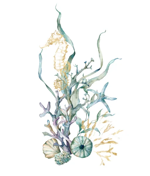 Cartão tropical aquarela de cavalo marinho, estrela do mar, laminaria e corais. Animais subaquáticos e plantas isoladas sobre fundo branco. Ilustração aquática para desenho, impressão ou fundo. — Fotografia de Stock