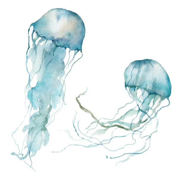 Aquarell tropischen Satz von blauen Quallen. Unterwassertiere isoliert auf weißem Hintergrund. Aquatische Illustration für Design, Druck oder Hintergrund. Trendige nautische Kollektion. — Stockfoto