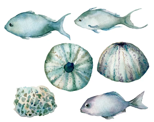 貝、魚、ウニの水中セットの水彩。白い背景に隔離された手描きの海の要素。デザイン、印刷や背景のための水性イラスト。流行の海事コレクション. — ストック写真