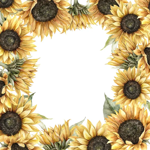 Bingkai Watercolor musim gugur dengan bunga matahari dan daun. Tangan dicat kartu pedesaan terisolasi pada latar belakang putih. Ilustrasi Floral untuk desain, cetak, kain atau latar belakang. — Stok Foto