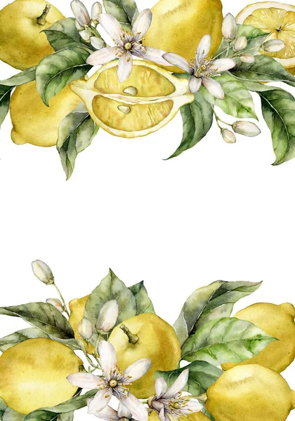 Moldura aquarela de limões maduros fatia, folhas, flores e botões. Borda tropical pintada à mão de frutas isoladas em fundo branco. Ilustração de comida saborosa para design, impressão, tecido ou fundo. — Fotografia de Stock