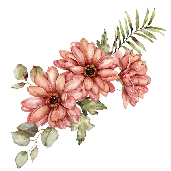 Υδατογραφία φθινοπωρινό μπουκέτο από κάστερ και φύλλα. Χέρι ζωγραφισμένα λουλούδια λιβάδι απομονώνονται σε λευκό φόντο. Floral άγρια απεικόνιση για το σχεδιασμό, εκτύπωση, ύφασμα ή φόντο. — Φωτογραφία Αρχείου