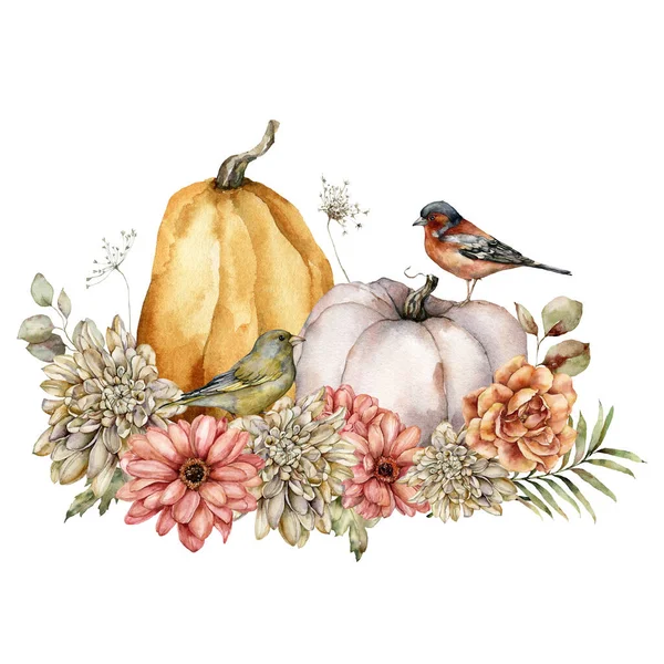 Acuarela composición otoñal de calabaza, flores y aves. Desastres pintados a mano, dalias, pinzón y verderón aislados sobre fondo blanco. Ilustración botánica para diseño, impresión, fondo. —  Fotos de Stock