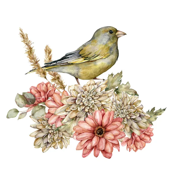 Buquê de outono aquarela de aster, dália, folhas e greenfinch. Flores pintadas à mão prado e pássaro isolado no fundo branco. Ilustração selvagem floral para design, impressão, tecido ou fundo. — Fotografia de Stock