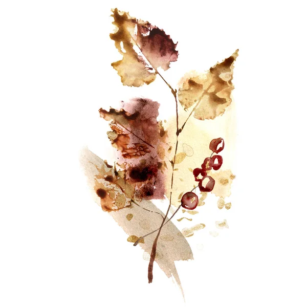 Watercolor autumn abstract composition of poplar branch and beige spots. Hand painted tree leaves isolated on white background. Floral illustration for design, print, fabric or background. — Stock Photo, Image