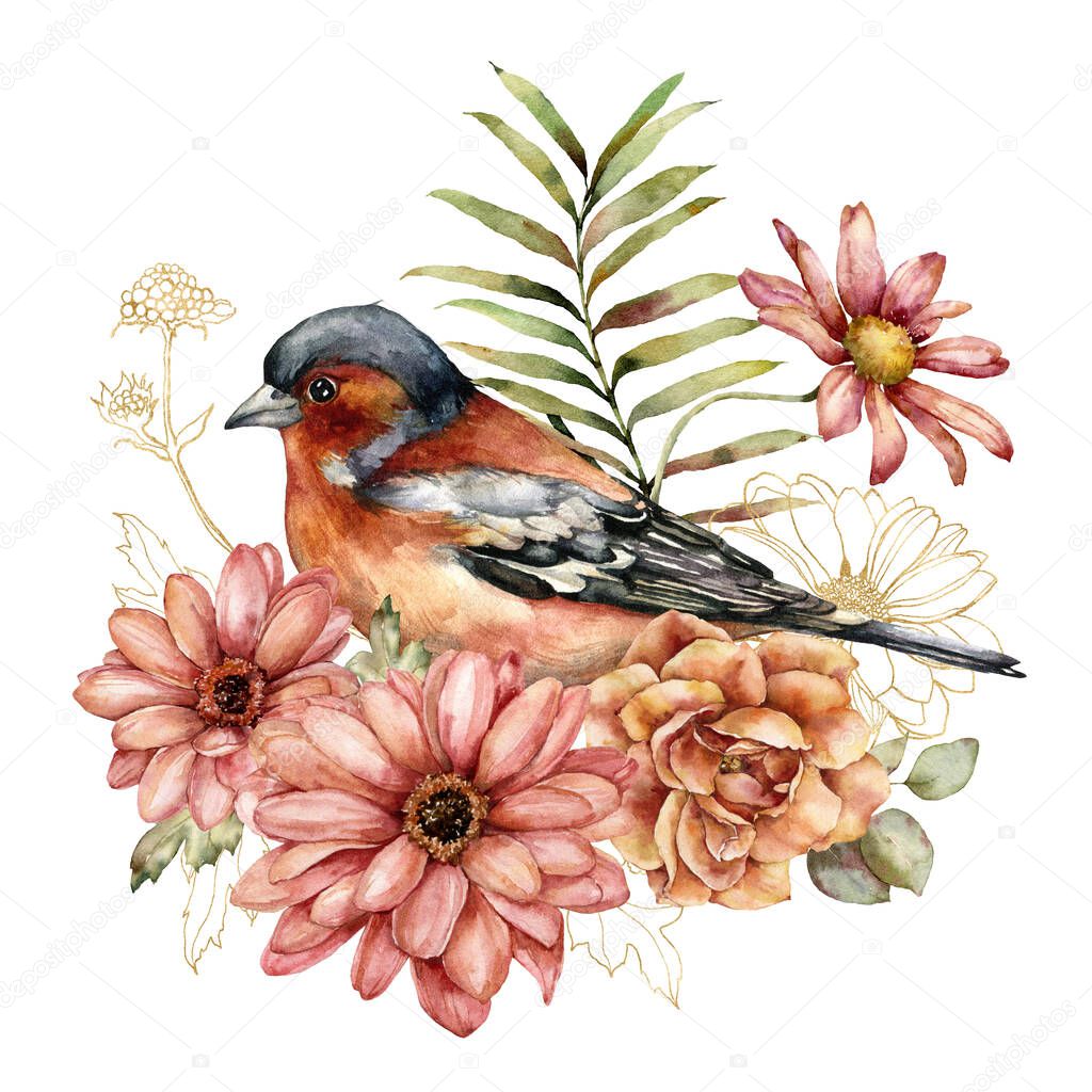 Watercolor autumn composition of gold aster, rose and chaffinch. Hand painted meadow linear flowers and bird isolated on white background. Floral illustration for design, print, fabric or background.
