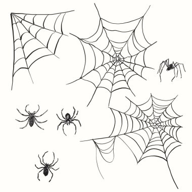 Örümcek ve ağ vektör Cadılar Bayramı seti. Beyaz arka planda el çizimi mutlu tatil unsurları. Tasarım, yazdırma veya arkaplan çizimi