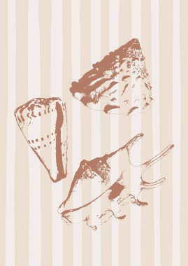 Bej arka planda izole edilmiş deniz kabuğu koleksiyonunun vektör tropikal sualtı tarzı posteri. İç tasarım, baskılar, kumaş veya arkaplan kartı