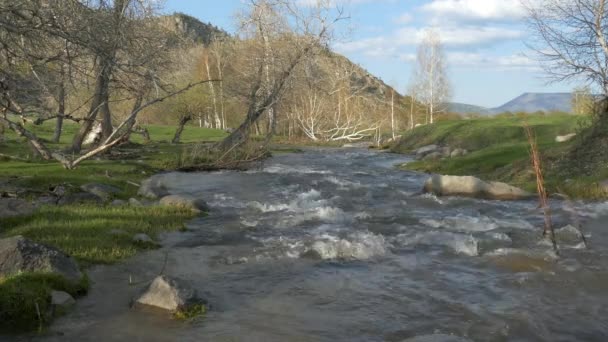 Близько до чистої свіжої киплячої води в лісі — стокове відео