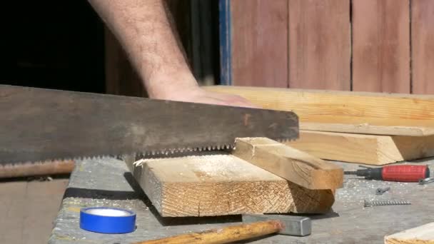 Carpenter menggergaji papan kayu dengan gergaji tangan — Stok Video