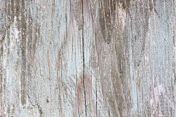 Closeup of old wood texture background — Stock Photo, Image