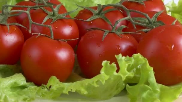 Frisse groene salade met tomaten — Stockvideo