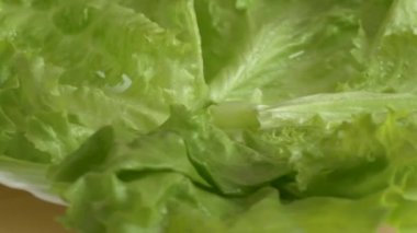 Dönüşümlü olarak taze yeşil salata