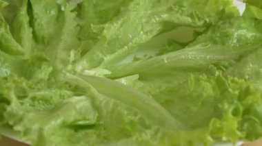 Dönüşümlü olarak taze yeşil salata