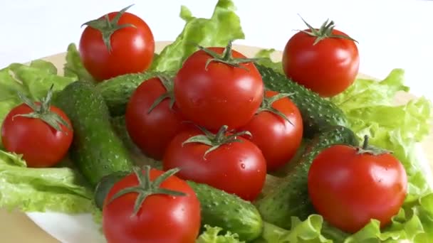 Salada verde fresca com tomate e pepino — Vídeo de Stock