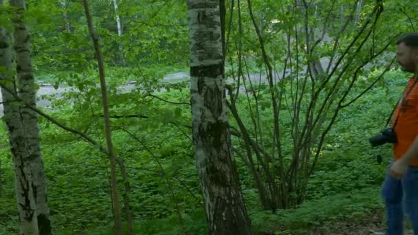 Homme marchant dans la forêt — Video