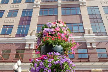 Bina arka plan üzerinde çiçek