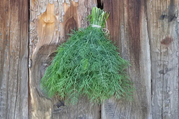 Verse groene Dille op oude houten achtergrond — Stockfoto