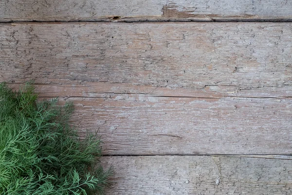 Fresh green dill on old wooden background — Stock Photo, Image