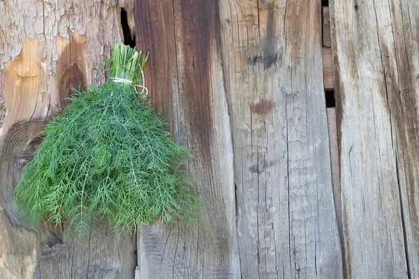 Dill verde fresco no fundo de madeira velho — Fotografia de Stock