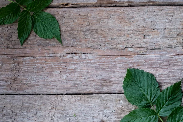 Old wooden board decorated raspberry leaves. — Stock Photo, Image