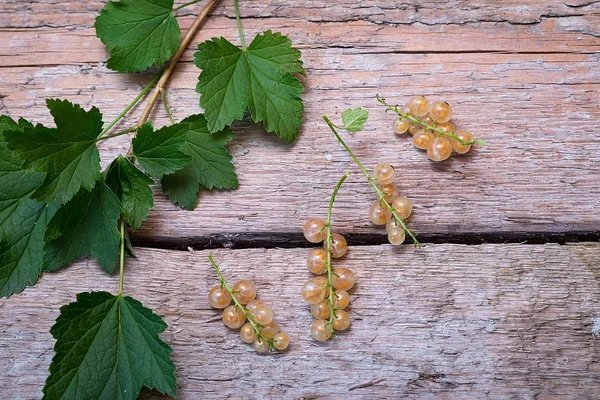 Vita vinbär på trä bakgrund. Ovanifrån — Stockfoto