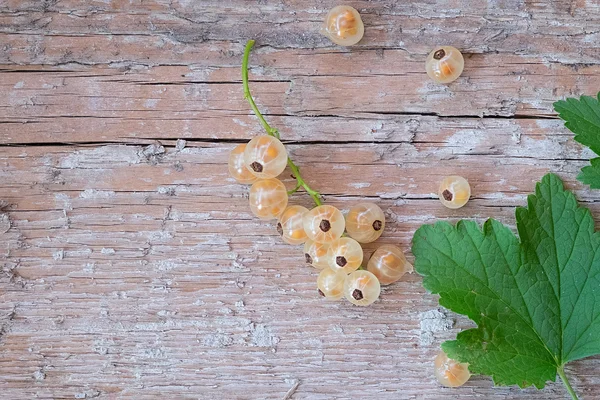 Vita vinbär på trä bakgrund. Ovanifrån — Stockfoto