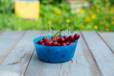 Olgun Kiraz ahşap zemin üzerine mavi kapta.