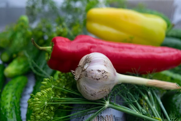 Organic vegetables for cooking. Selective focus to garlic — Stock Photo, Image