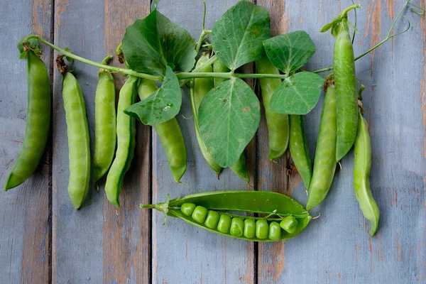 Groene erwten in peul vers geplukt op rustieke houten tafel — Stockfoto