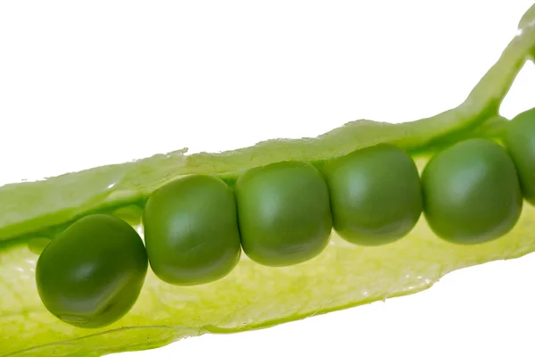 白色背景上的新鲜绿豆 — 图库照片