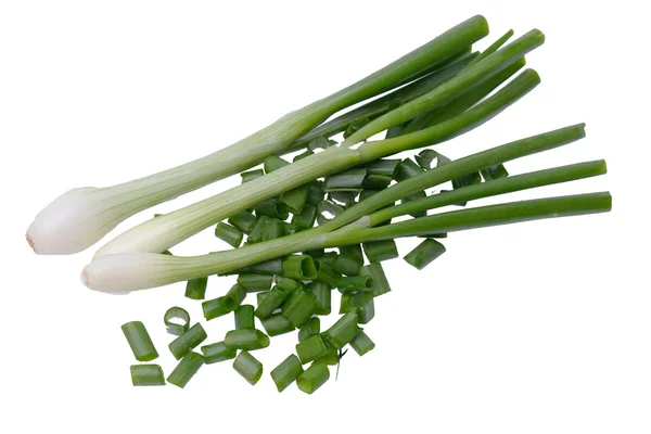 Onion isolated on the white background — Stock Photo, Image