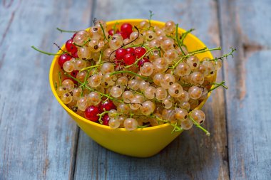 Kırmızı kuş üzümü ve sarı kasede beyaz currnts