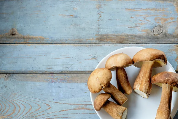 Сбор диких свиных грибов в белой тарелке на деревянном фоне — стоковое фото