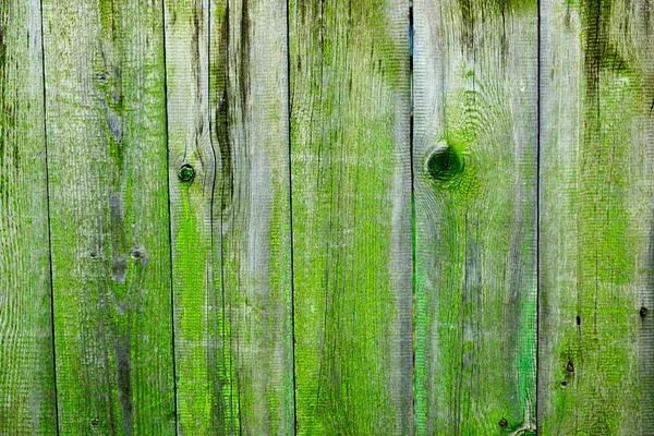 Placa de madeira velha coberta com musgo. Textura de madeira . Imagem De Stock