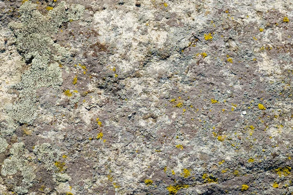 Textura de piedra de fondo de granito con musgo . — Foto de Stock
