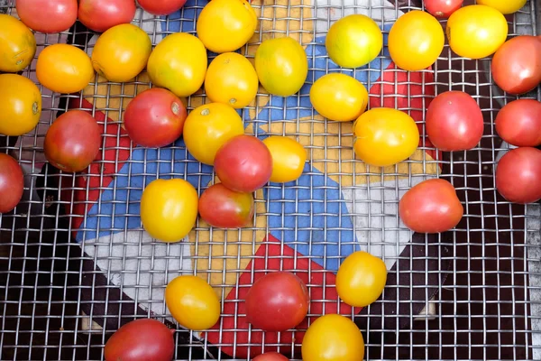 Πράσινες και κόκκινες ντομάτες στο πλέγμα σιδήρου — Φωτογραφία Αρχείου