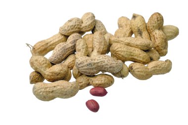 Portre isolatd beyaz üzerine kurutulmuş fıstık