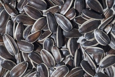 Ayçiçeği tohumu üstten görünüm arka plan olarak