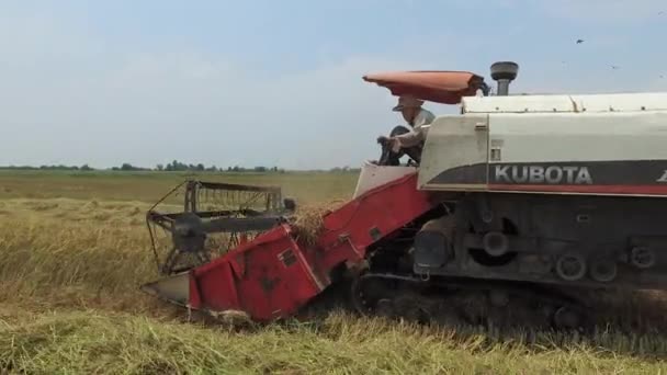 Combiner la moissonneuse sur le terrain à Tay Ninh au 20 / 04 / 2016 — Video