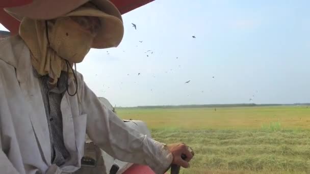 Fazendeiro dirigindo colheitadeira no campo — Vídeo de Stock