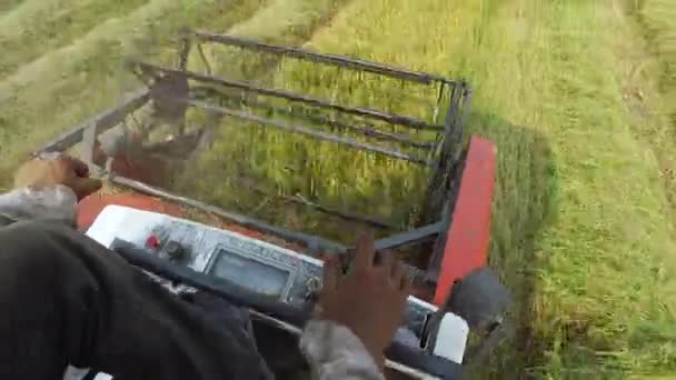 Sklizeň rýže na kombajn v Tay Ninh pole v Tay Ninh v 20/04/2016 — Stock video